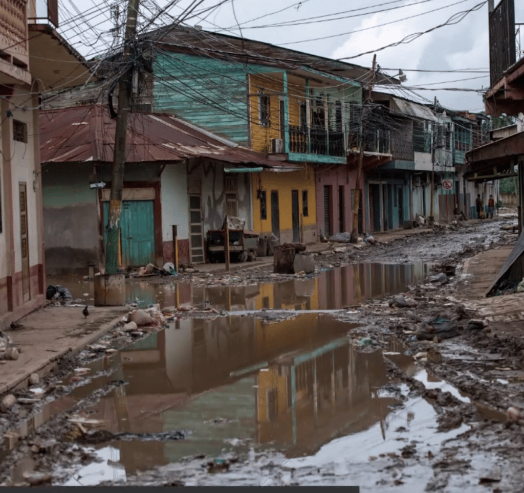 The flooding was disastrous.